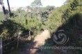 /album/galeria-de-fotos/s-bartolomeu-s-bras-janeiro-2012-006b-jpg/